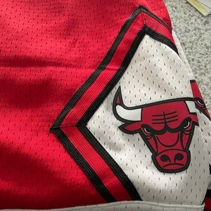 Mitchell mad ness Hardwood classic Bulls shorts